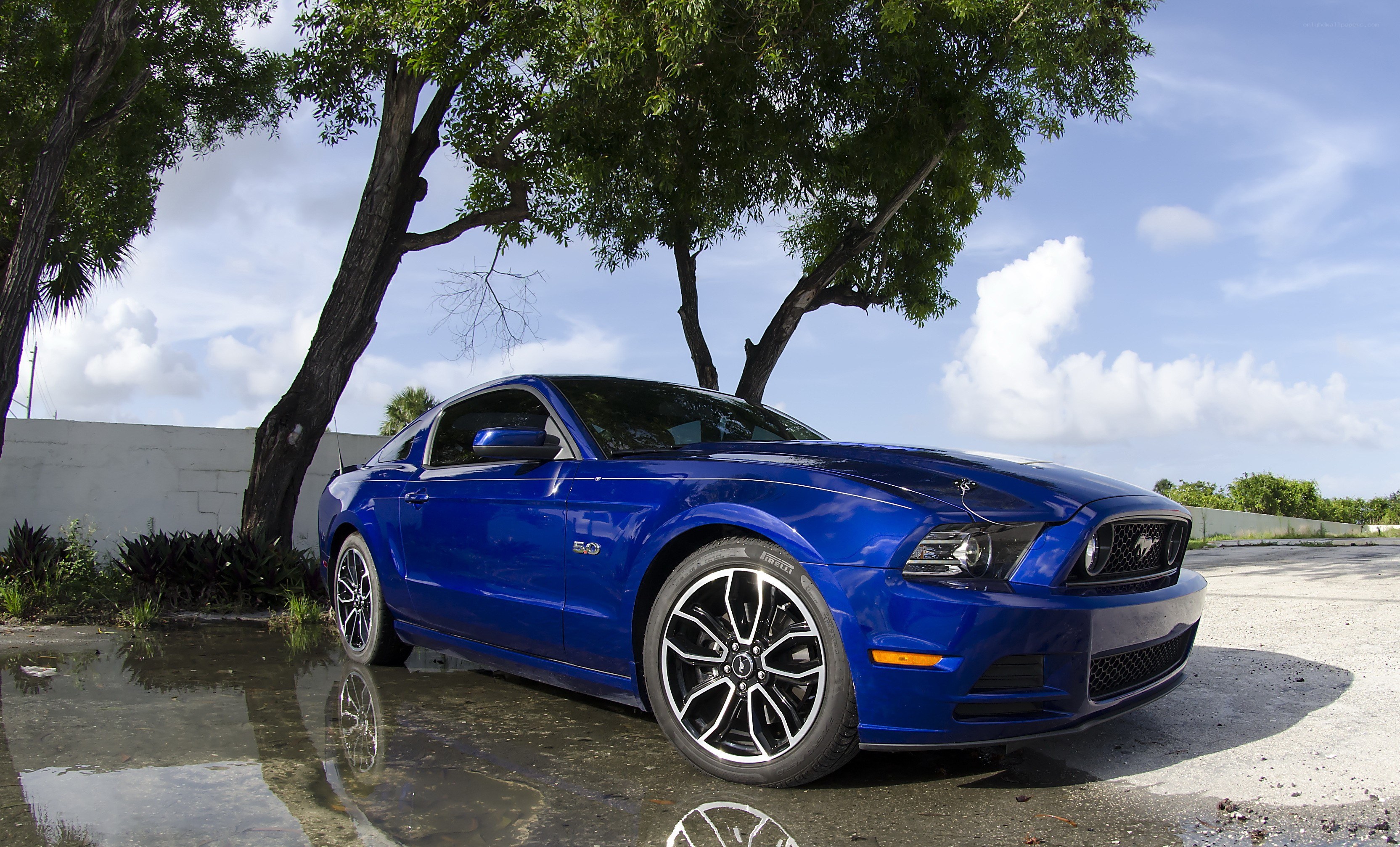 Blue Ford Mustang parked under trees
