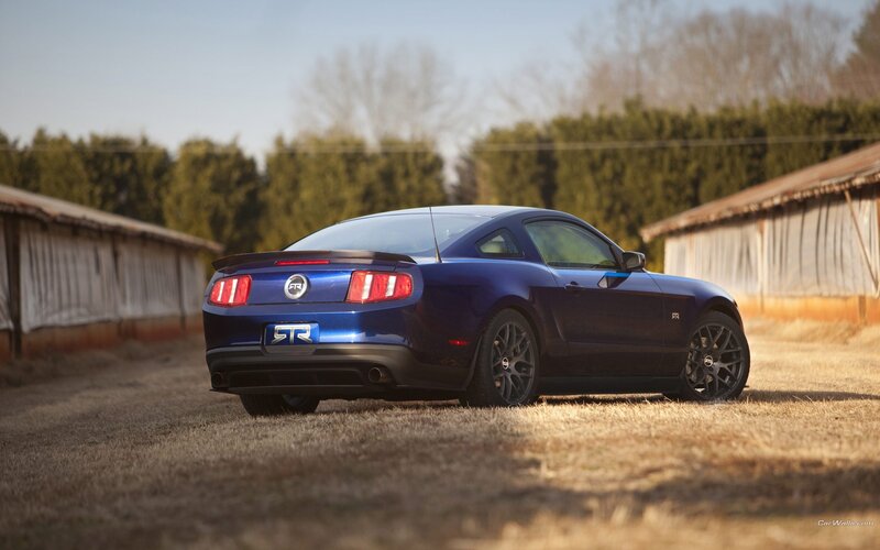 blue ford mustang r in field