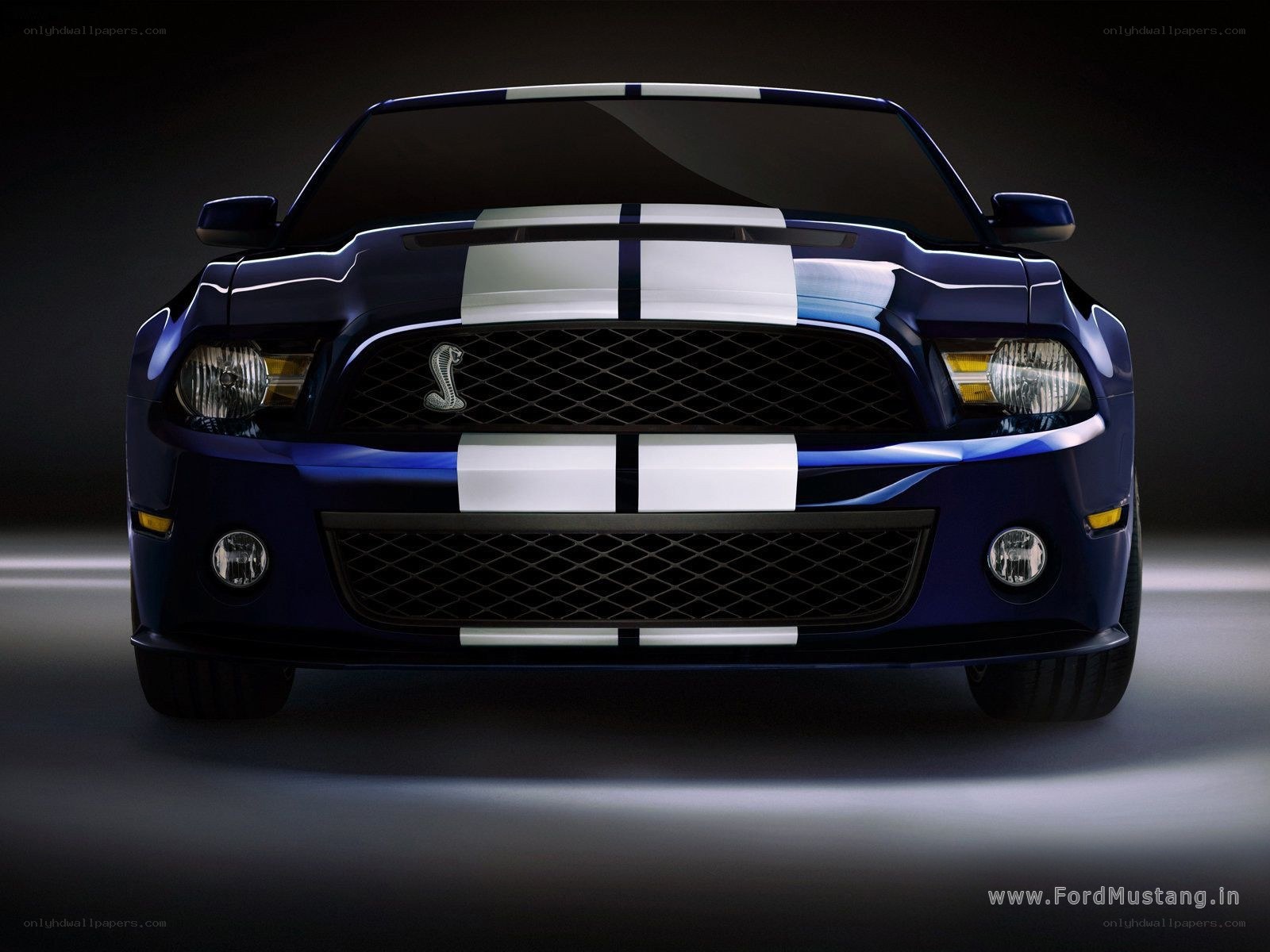 Blue Ford Mustang Shelby