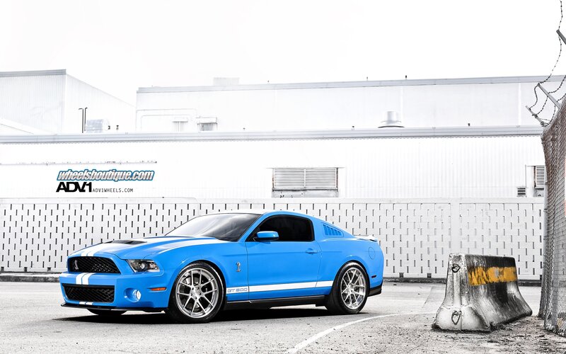 blue ford shelby gt500