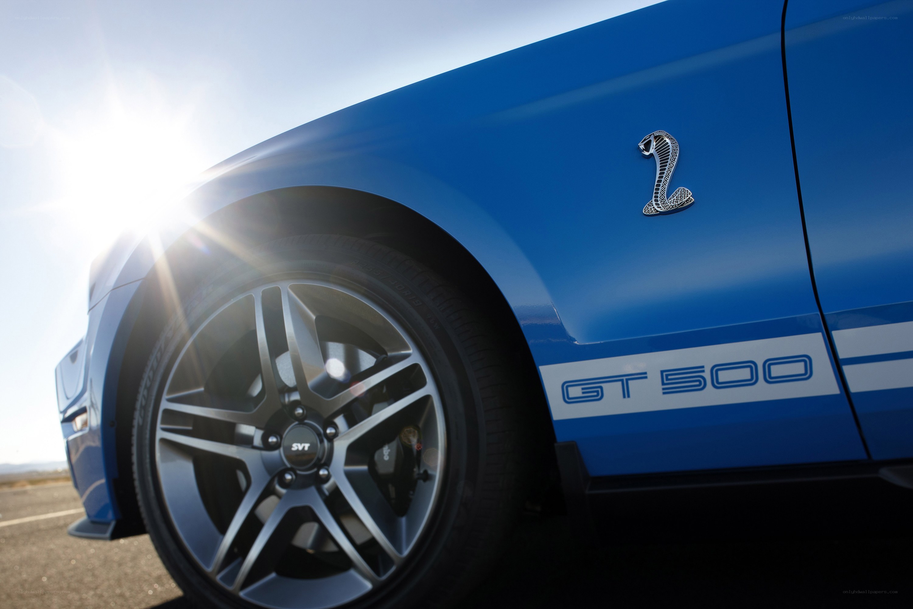 Blue Ford Shelby GT500