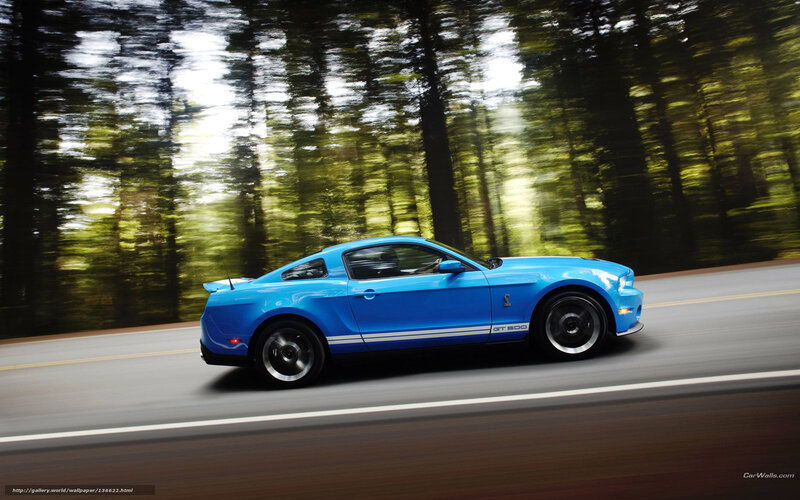 Blue Ford Shelby Gt500 — Dynamic, Afternoon