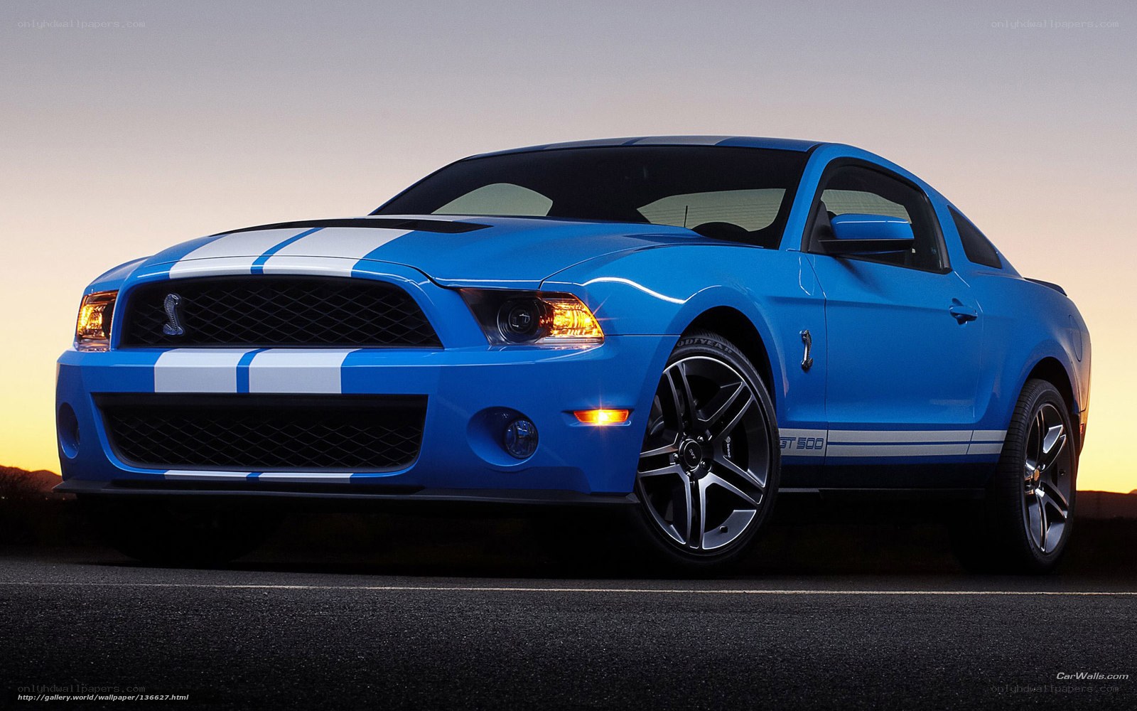 Blue Ford Shelby GT500