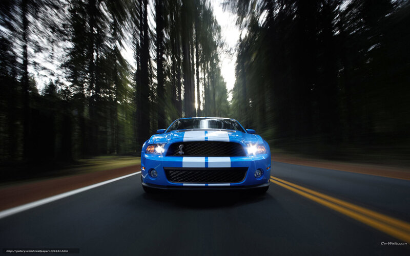 Blue Ford Shelby Mustang — Dynamic