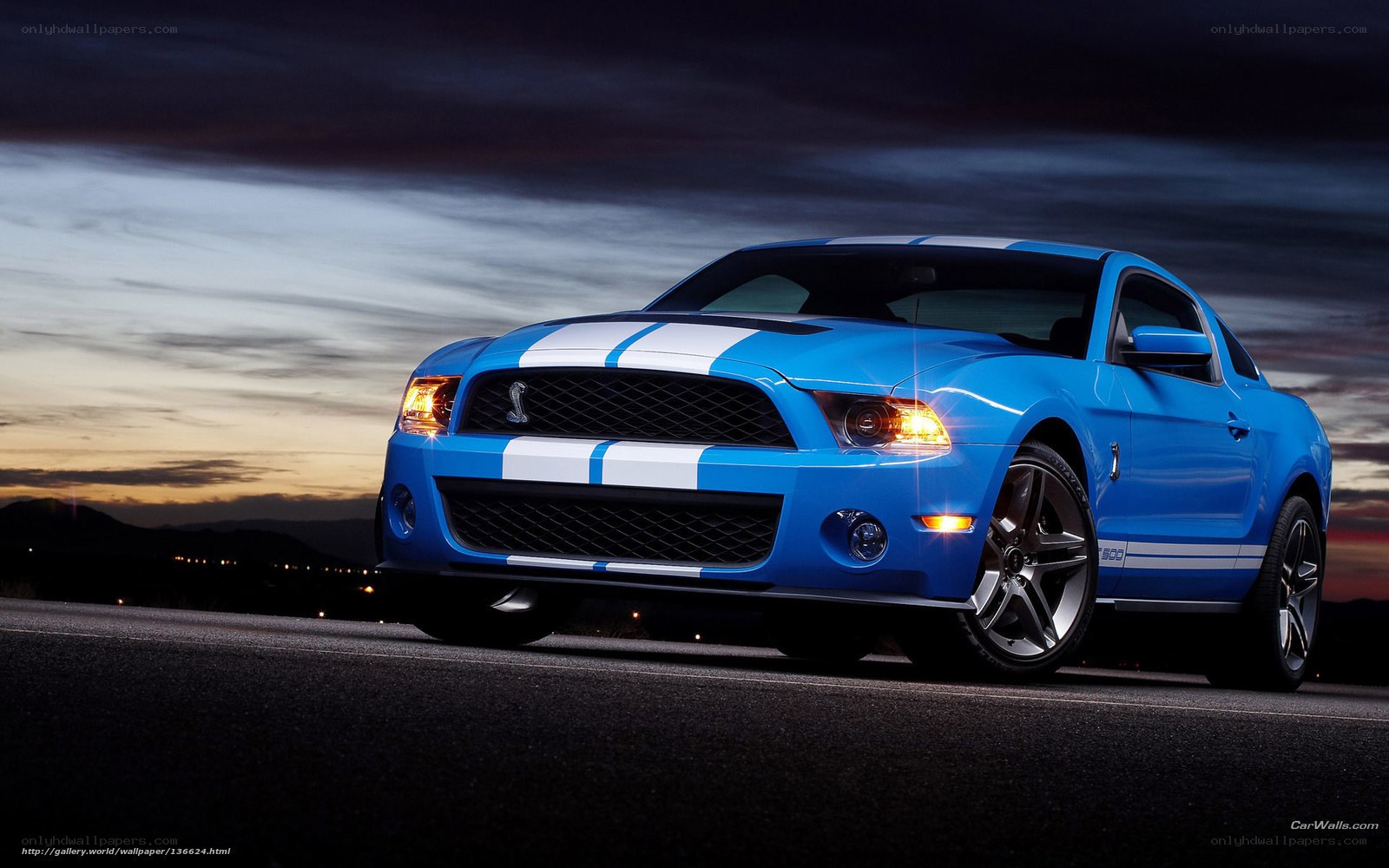 Blue Ford Shelby Mustang