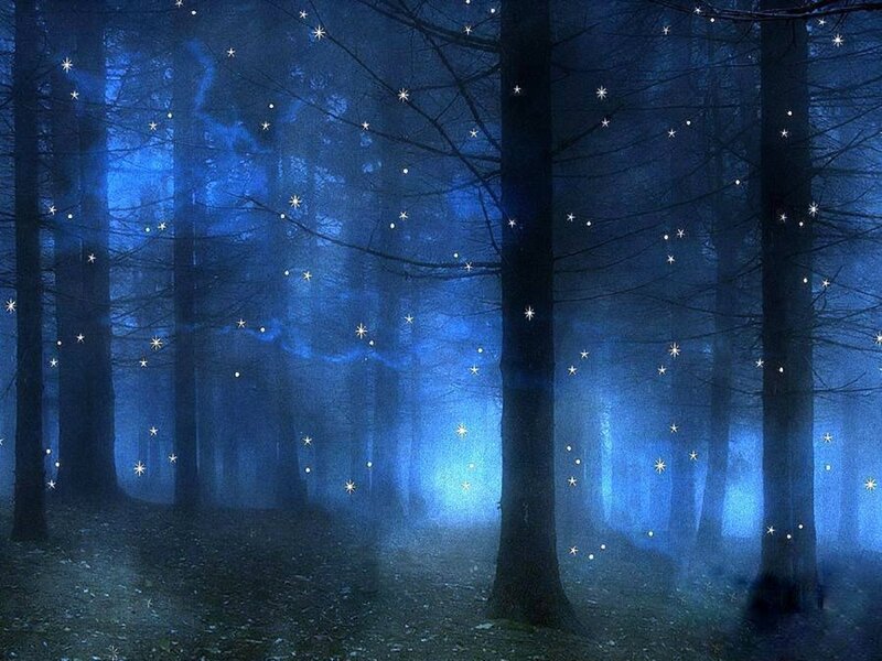 Blue Forest at Night — Mystical