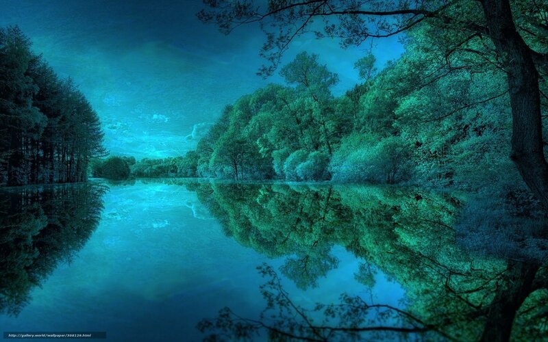 Blue forest lake at night