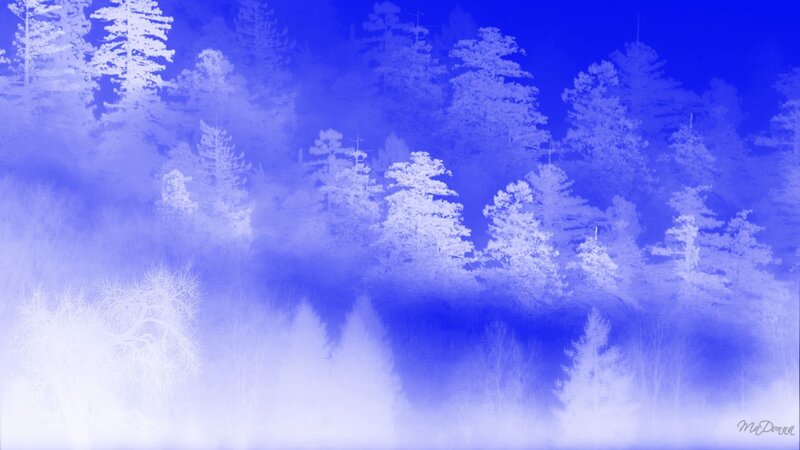 Blue forest mist landscape