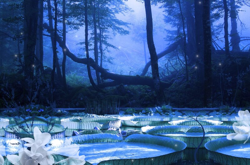 Blue forest pond at night