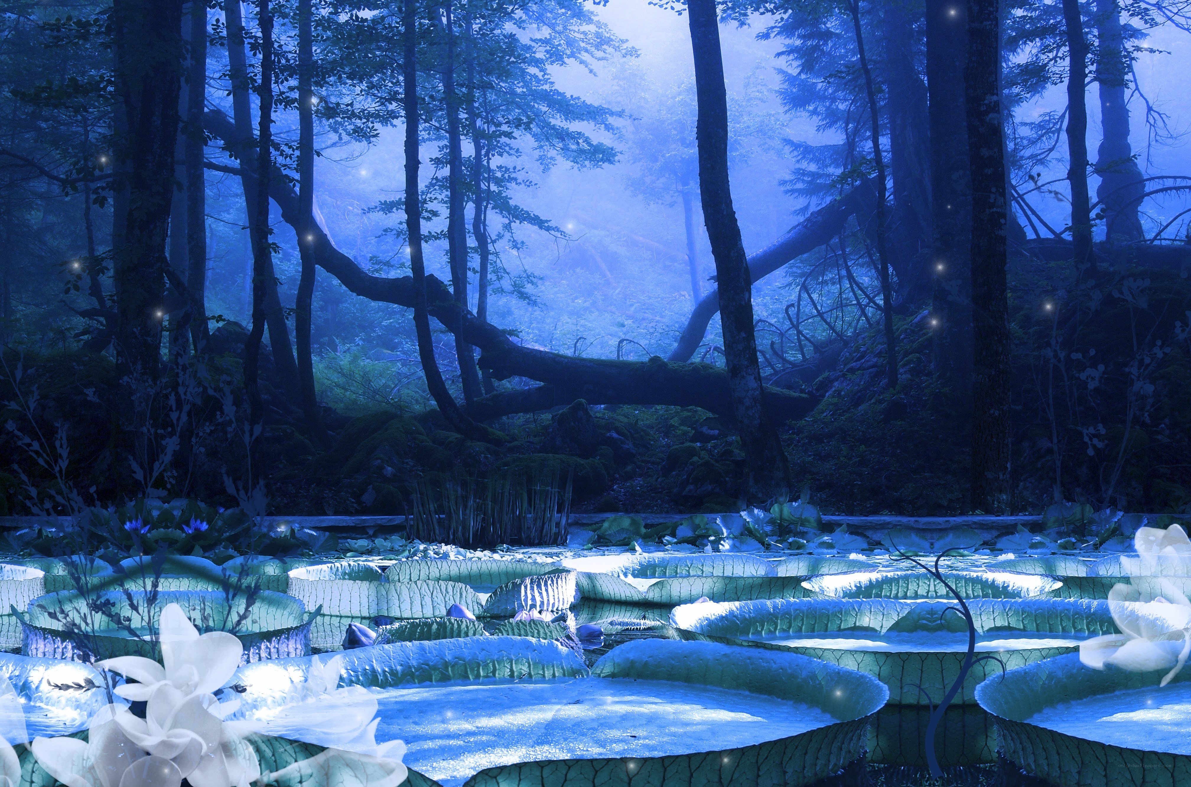 Blue forest pond at night