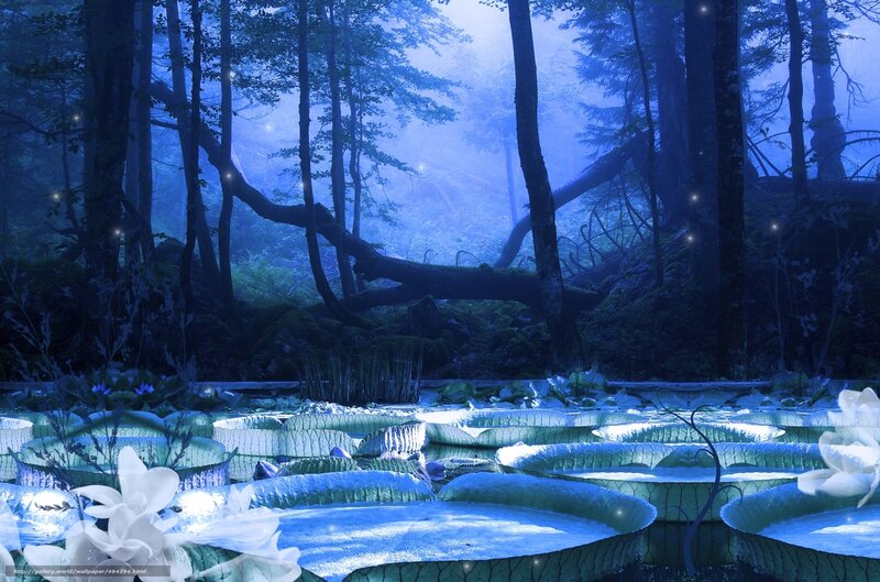 Blue forest pond at night