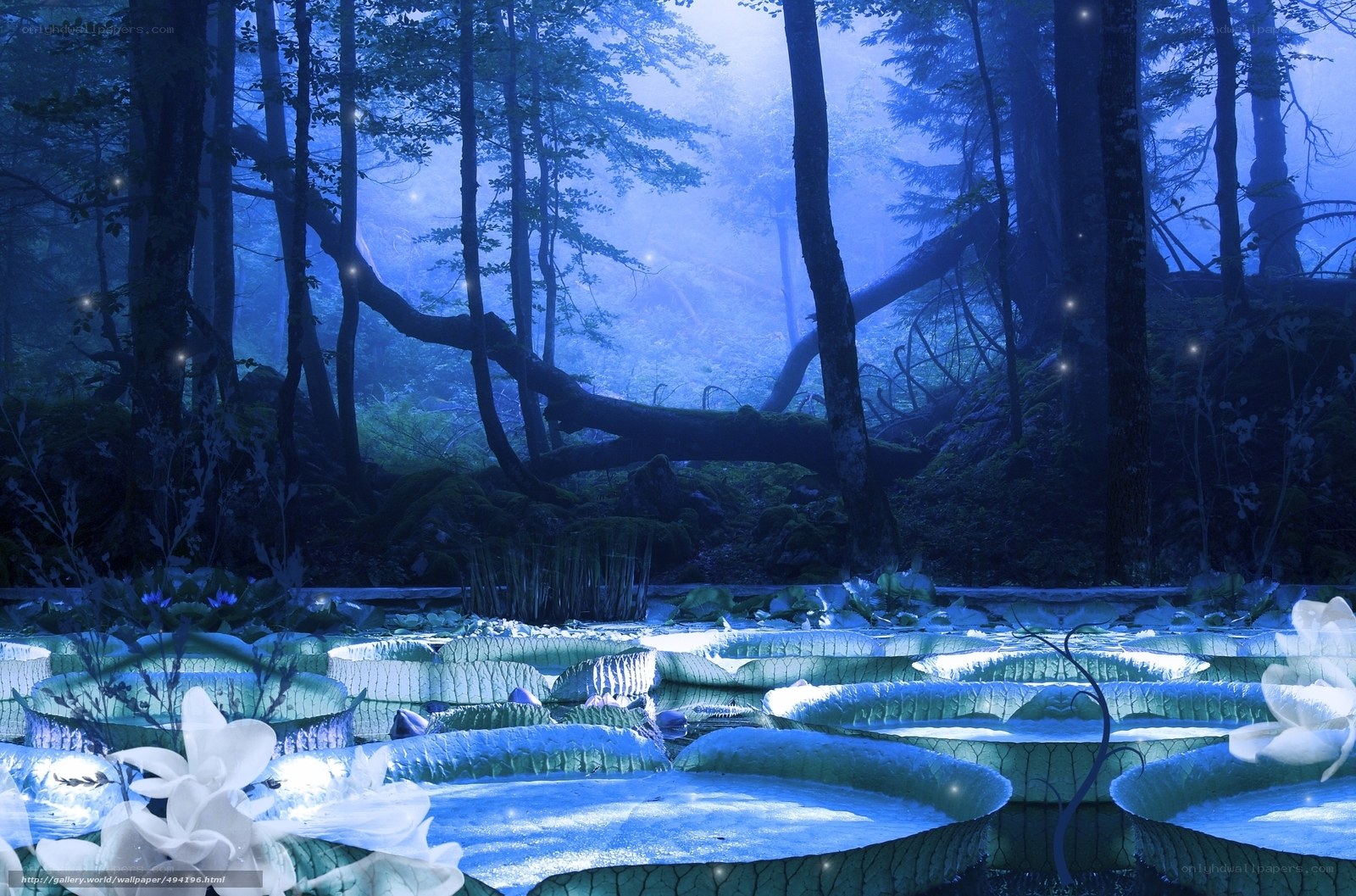 Blue forest pond at night