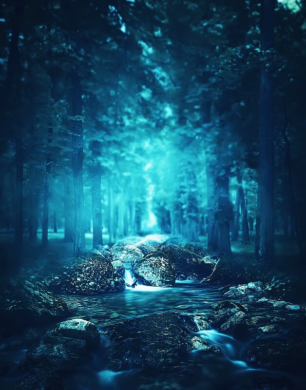 Blue forest stream at night
