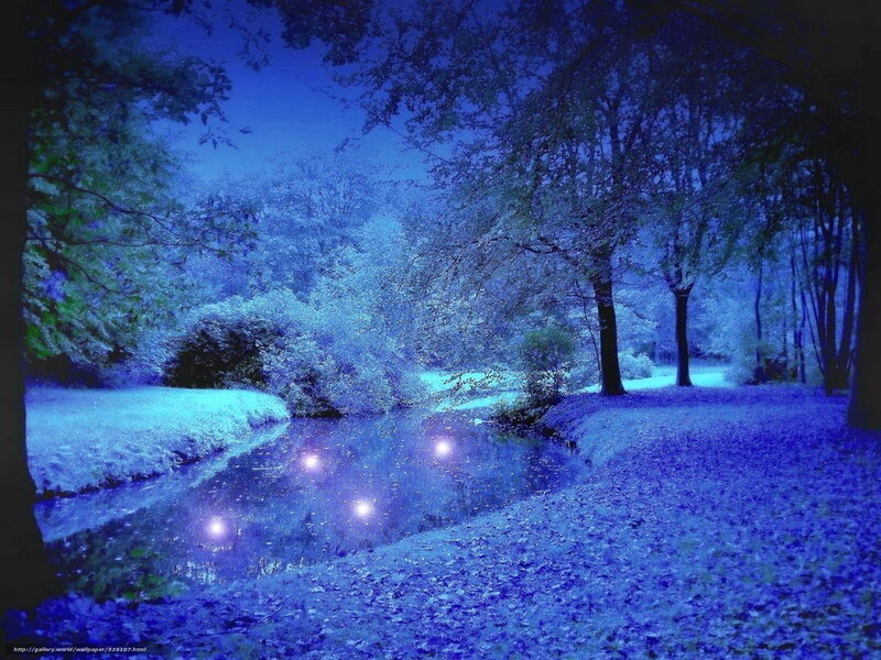 Blue forest stream at night
