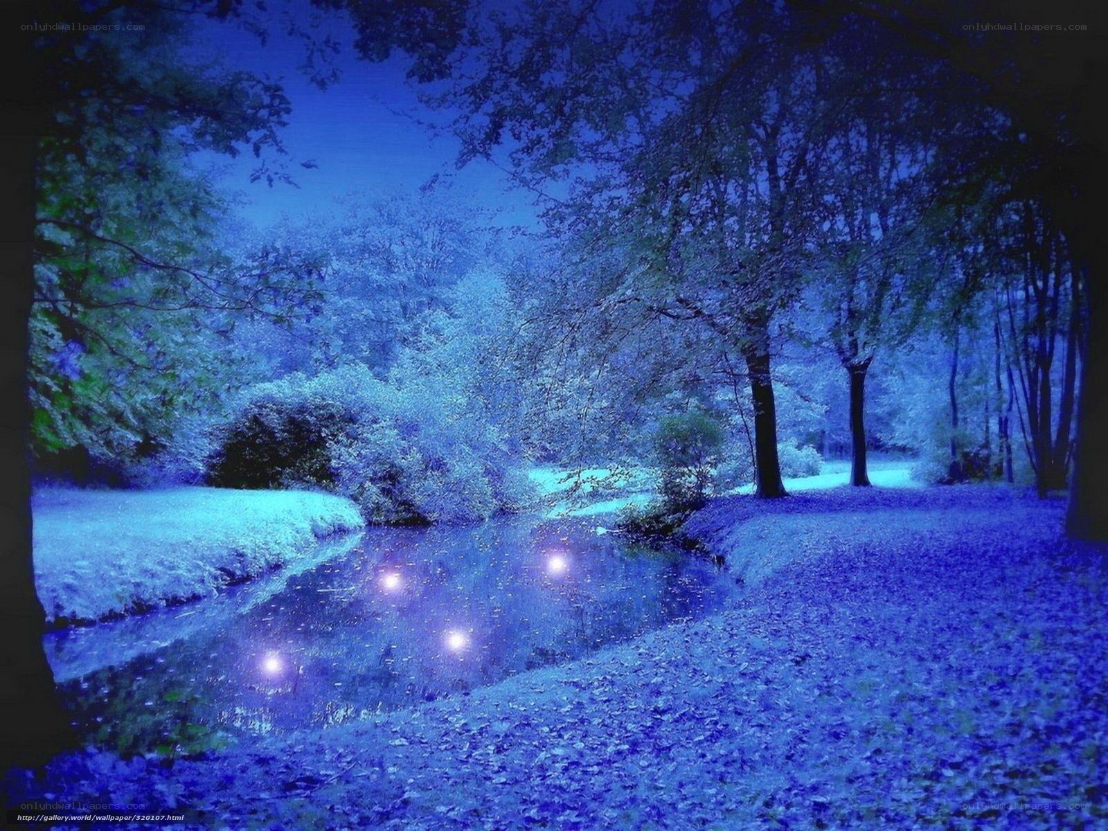 Blue forest stream at night