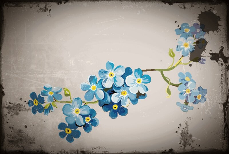 Blue Forget-me-not Flowers — Calm, Illustration, Flower