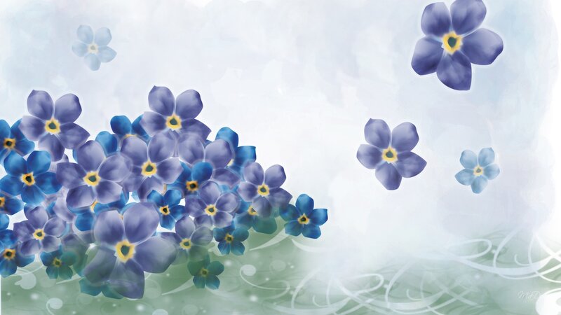 Blue Forget-me-not Flowers — Serene, Digital Art