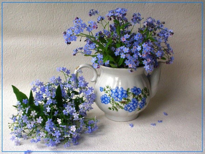 Blue Forget-me-nots in Teapot