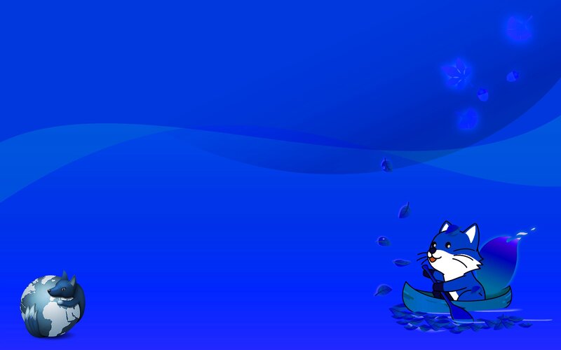 blue fox in a boat