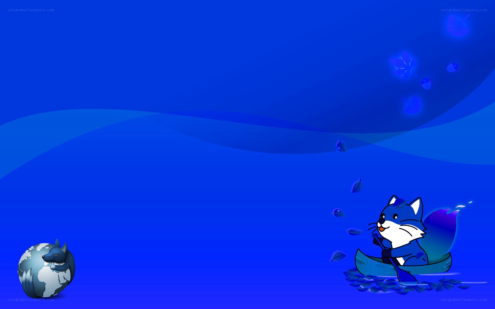 blue fox in a boat