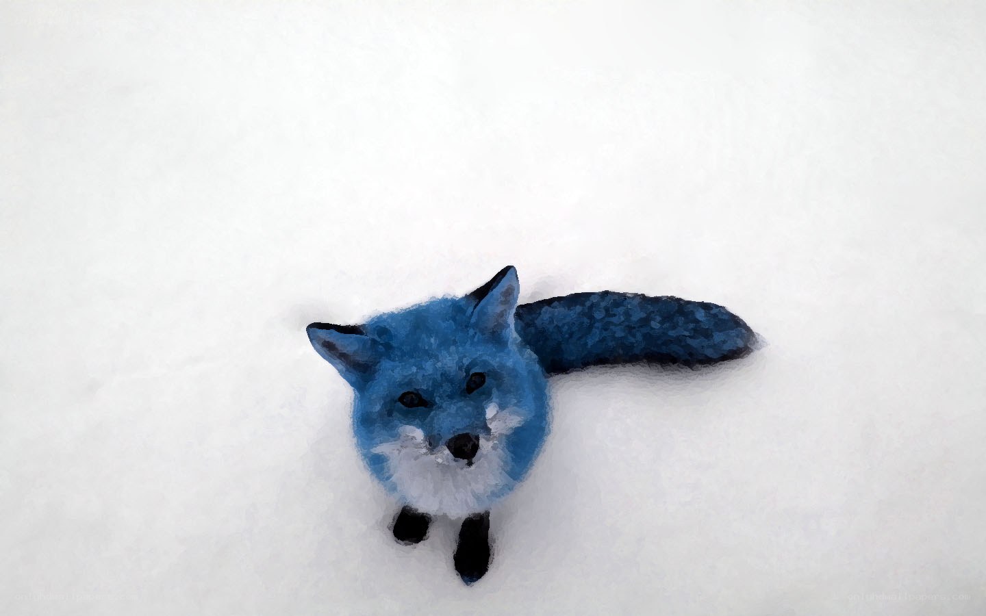 blue fox in the snow
