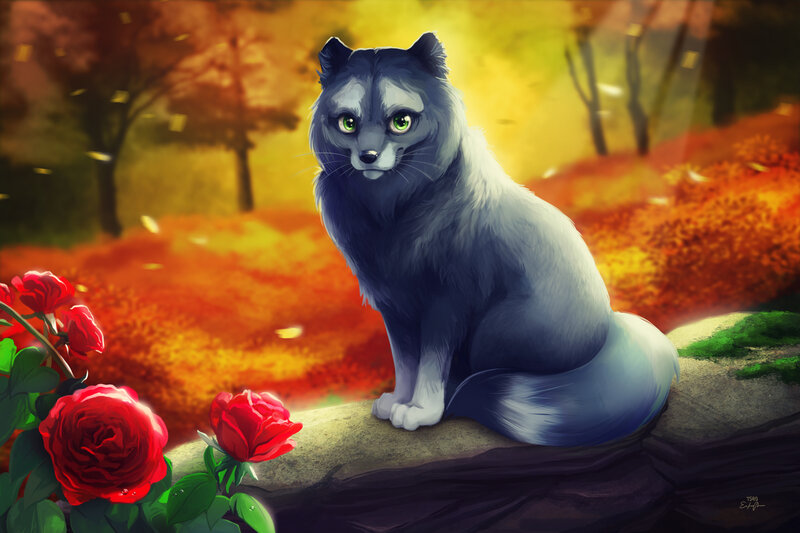 Blue Fox Sitting on Rock