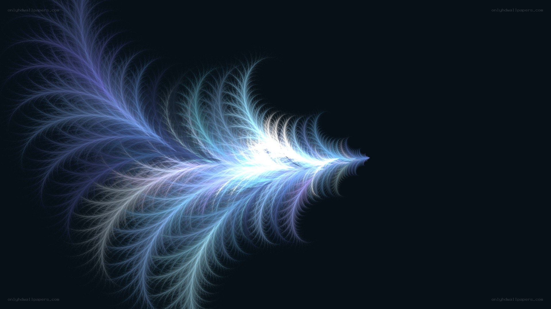 blue fractal feather design