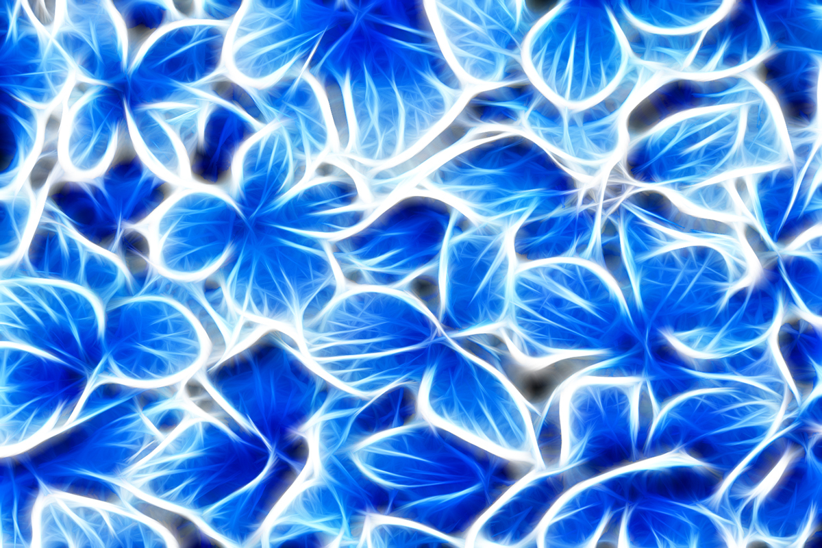 blue fractal floral pattern