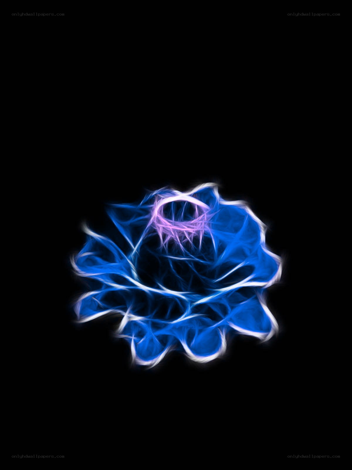 blue fractal flower