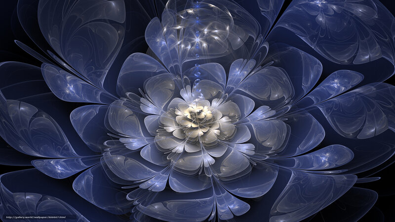 Blue fractal flower bloom