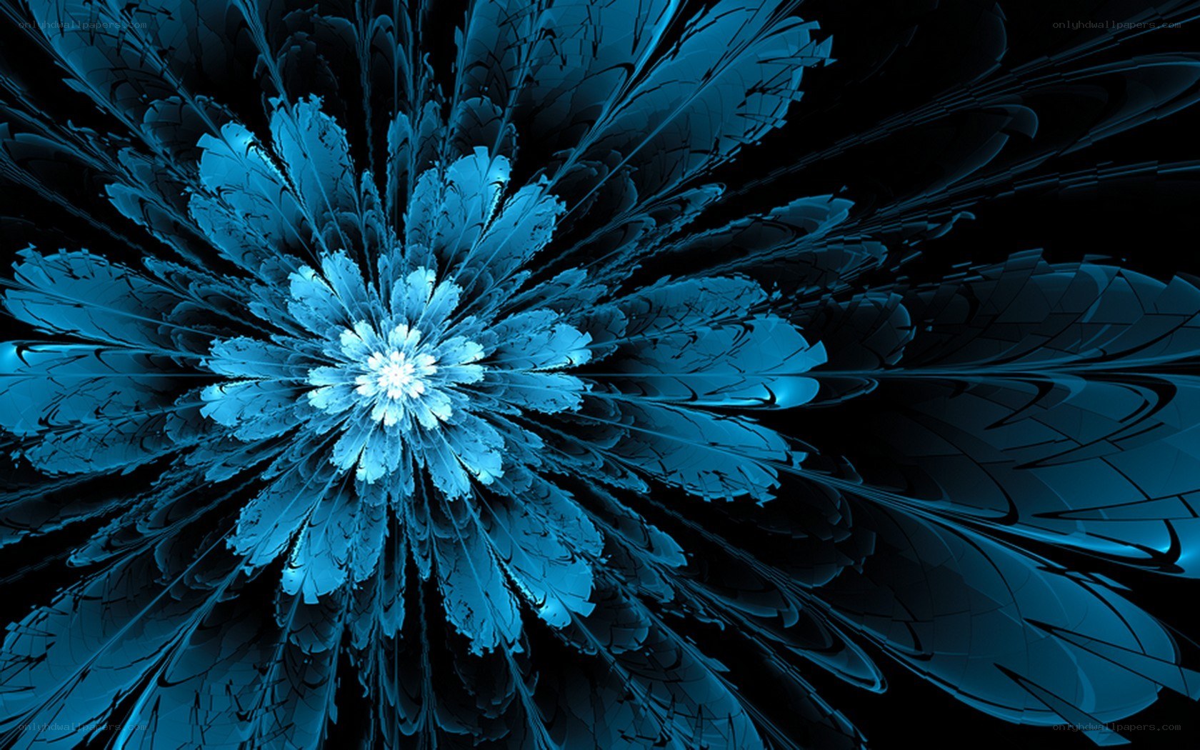 blue fractal flower design