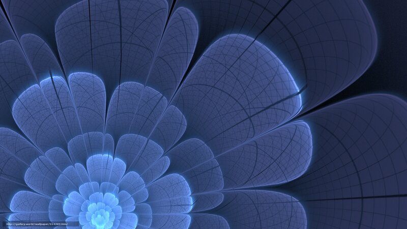 blue fractal flower design