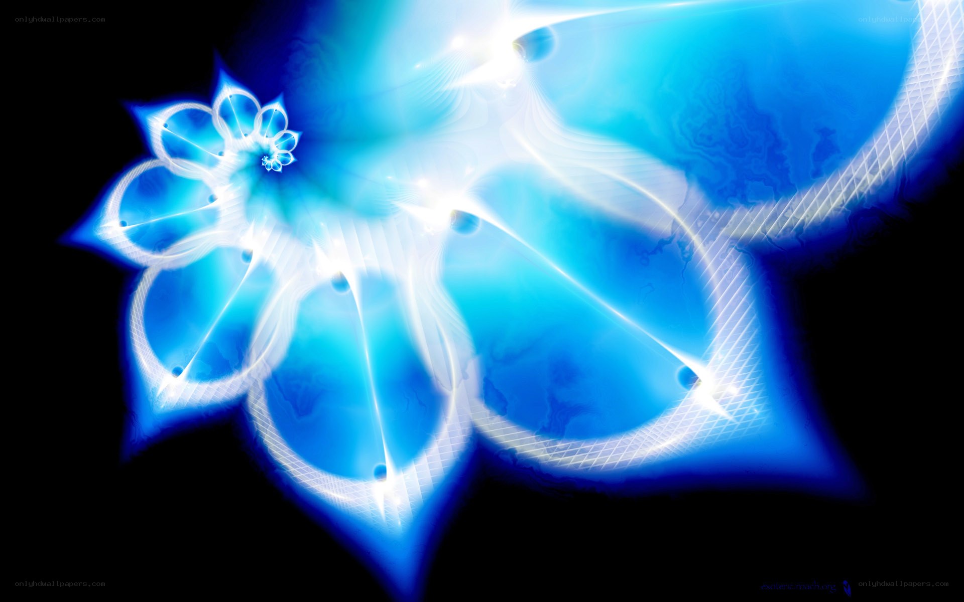 blue fractal flower design