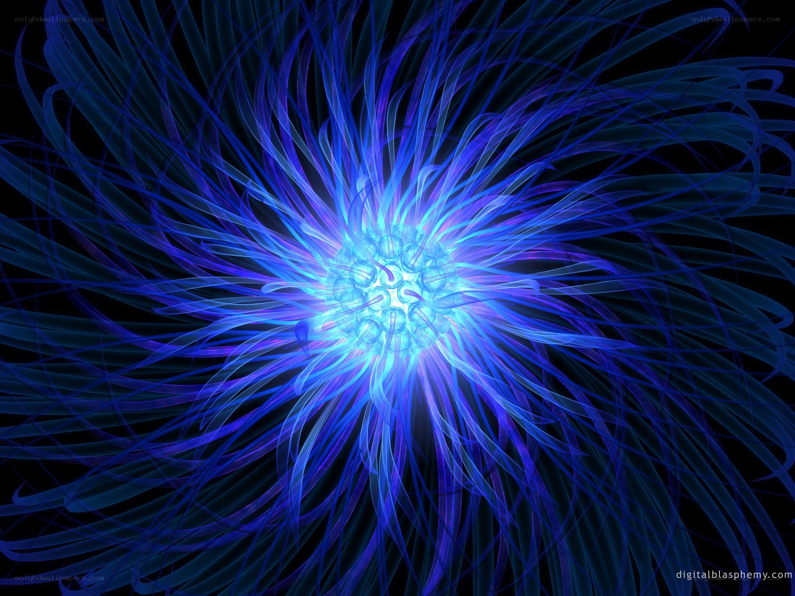 Blue fractal flower explosion
