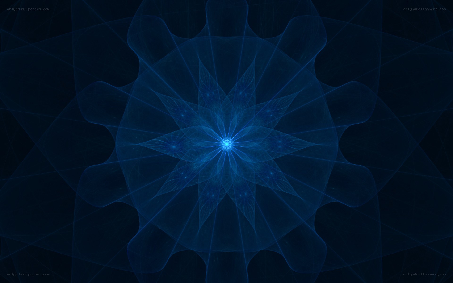 Blue fractal flower pattern