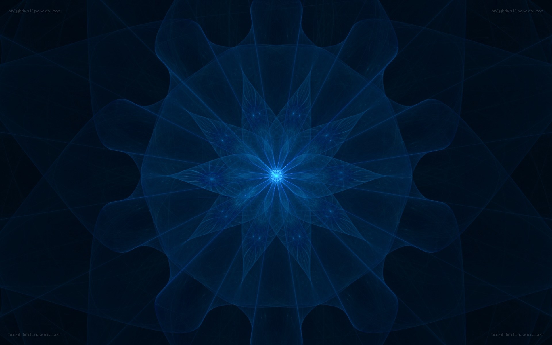 blue fractal flower pattern