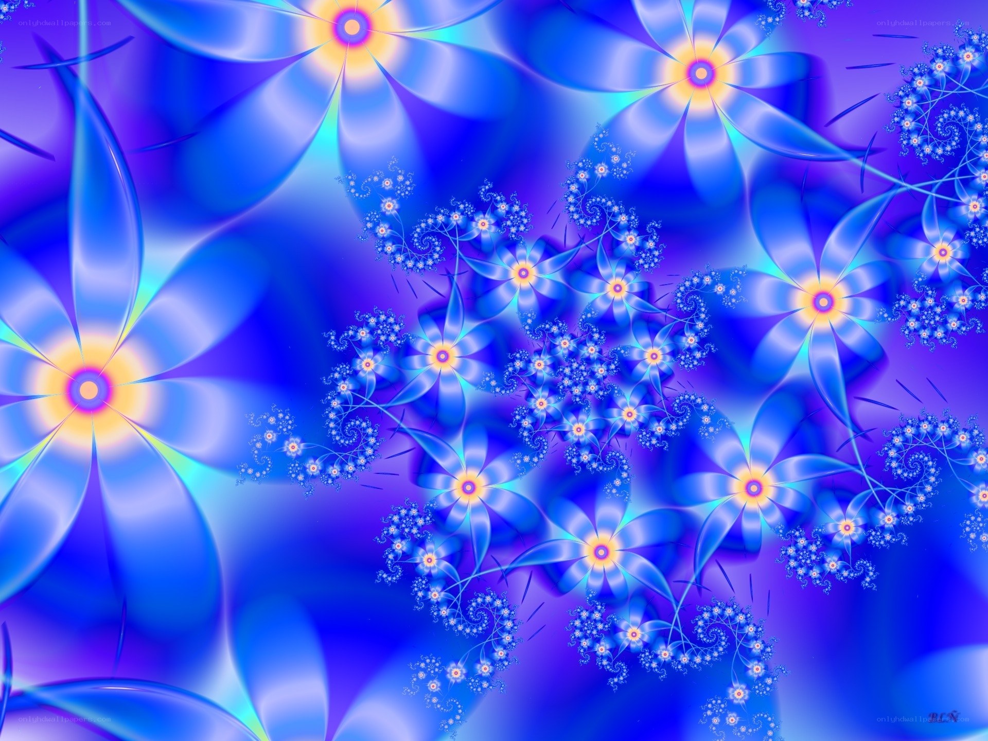 Blue fractal flower patterns
