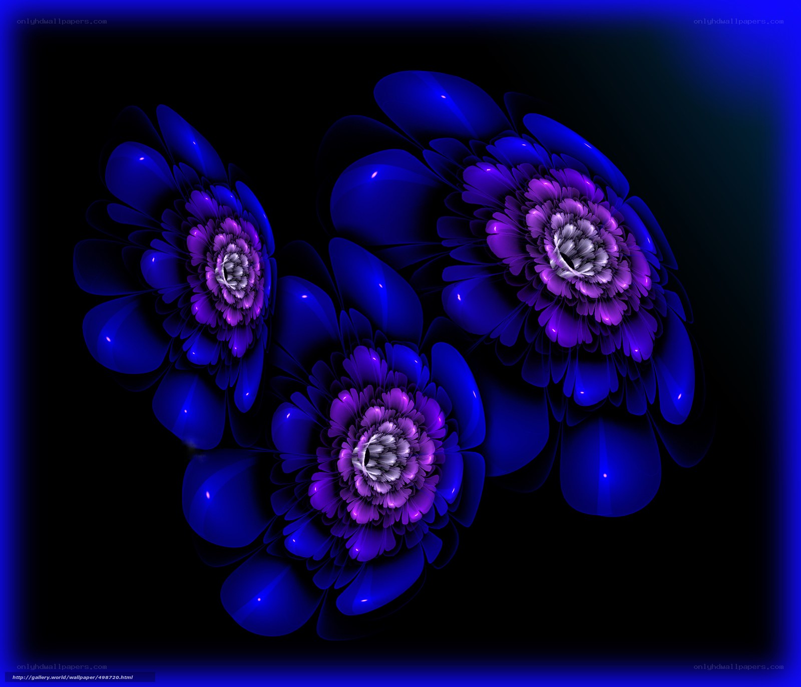 Blue fractal flowers