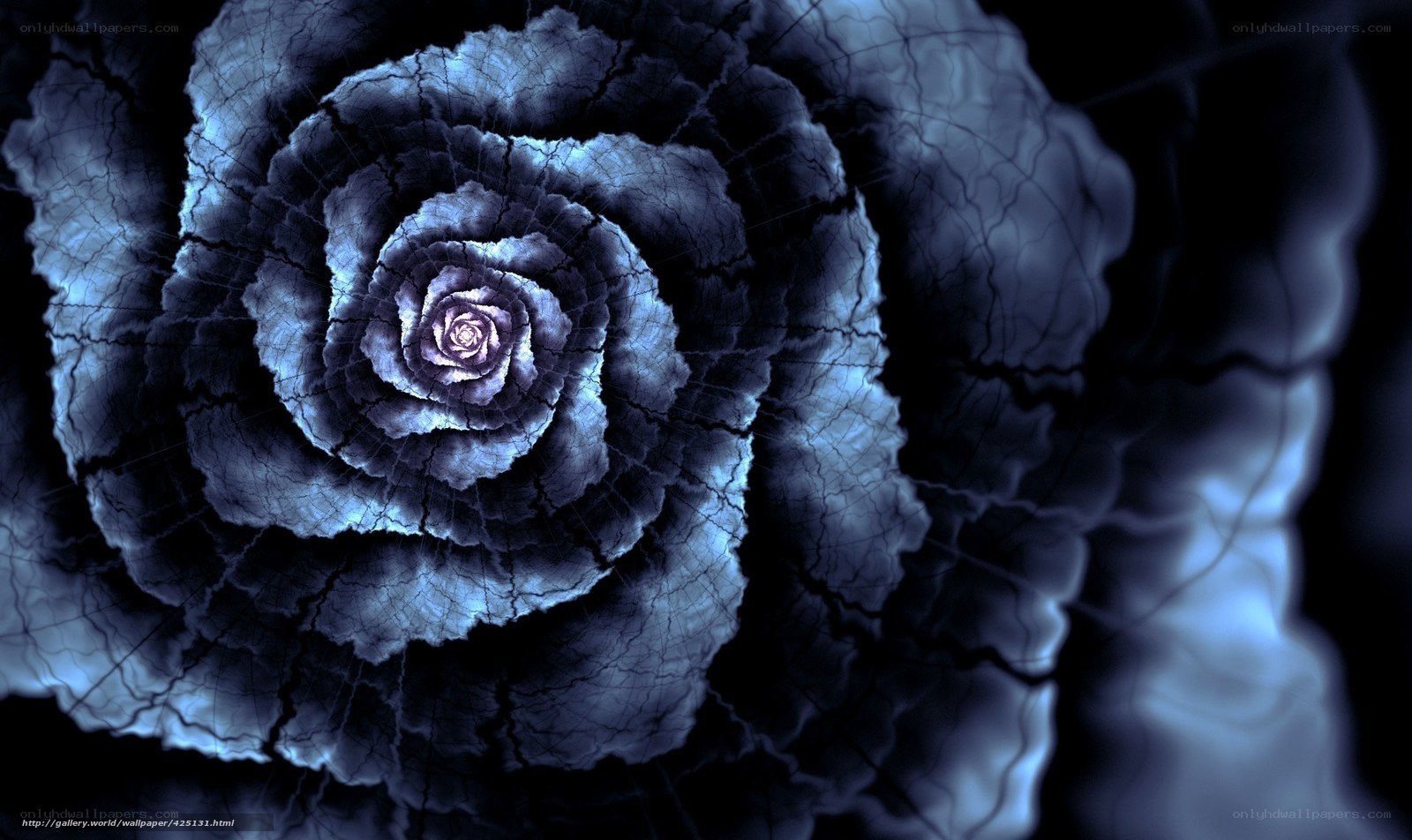 blue fractal rose