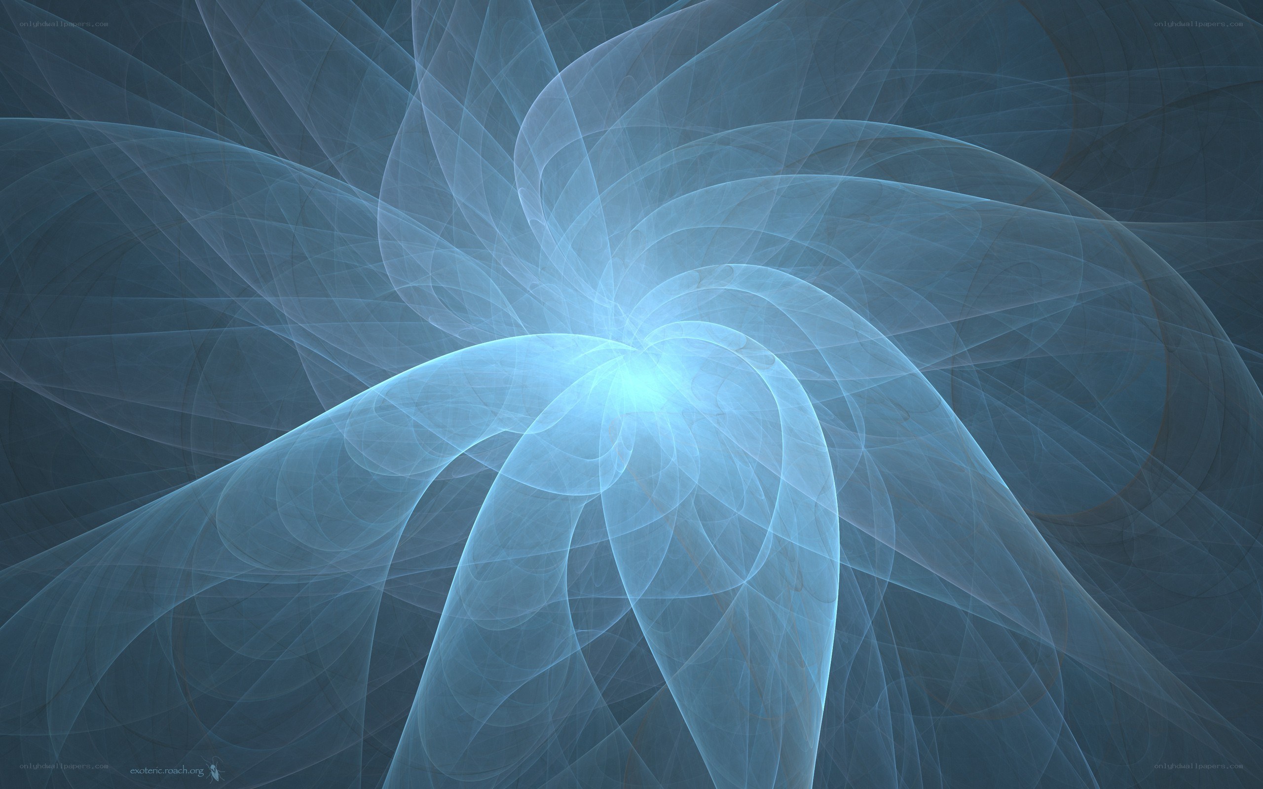 blue fractal spiral design