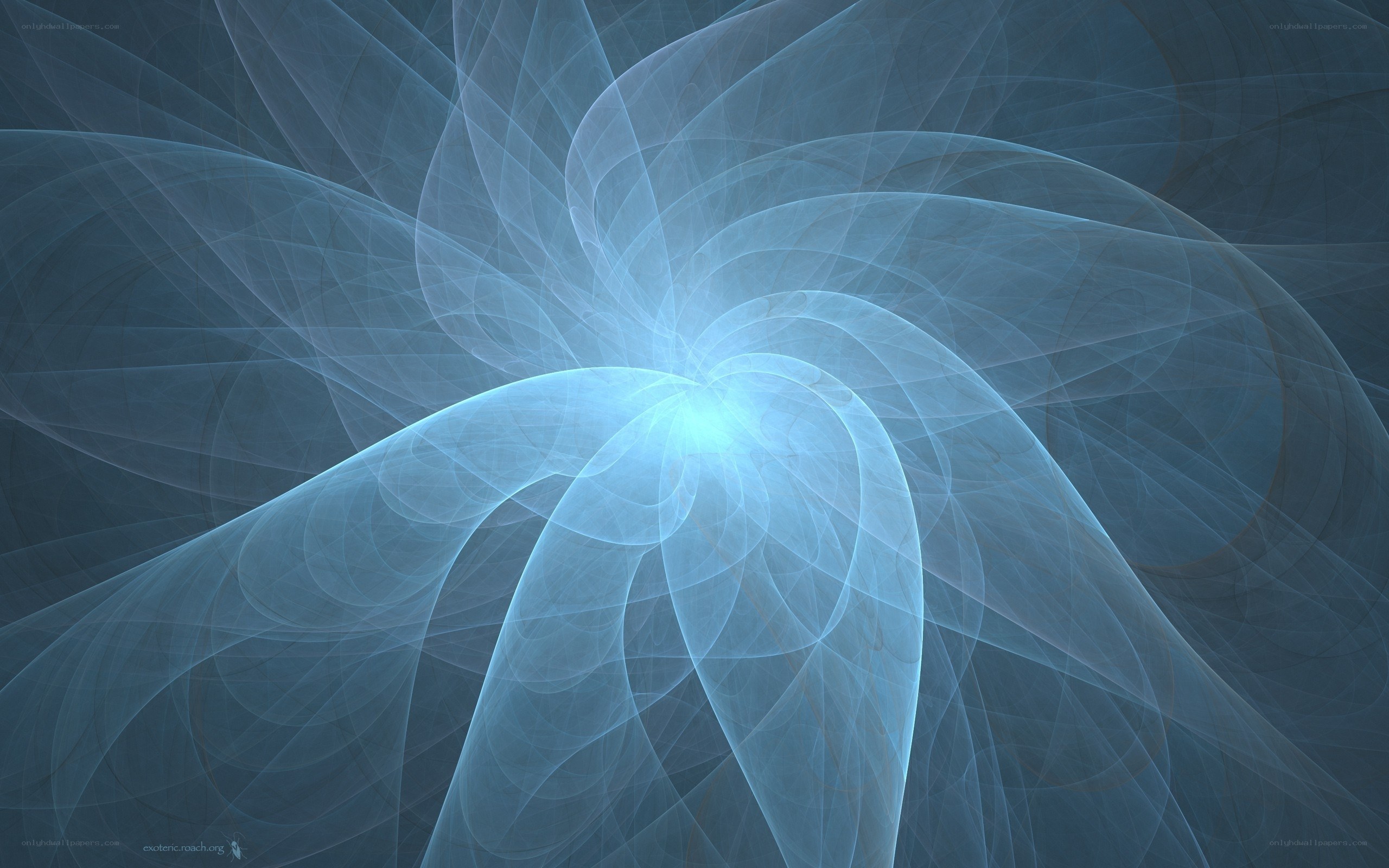 blue fractal spiral design