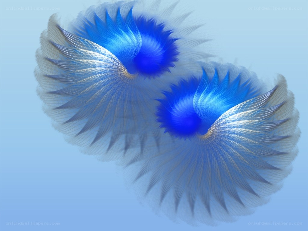 blue fractal wing design
