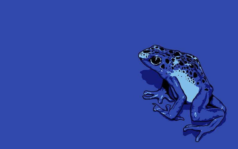 blue frog illustration