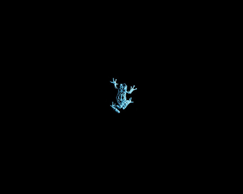 blue frog on black background