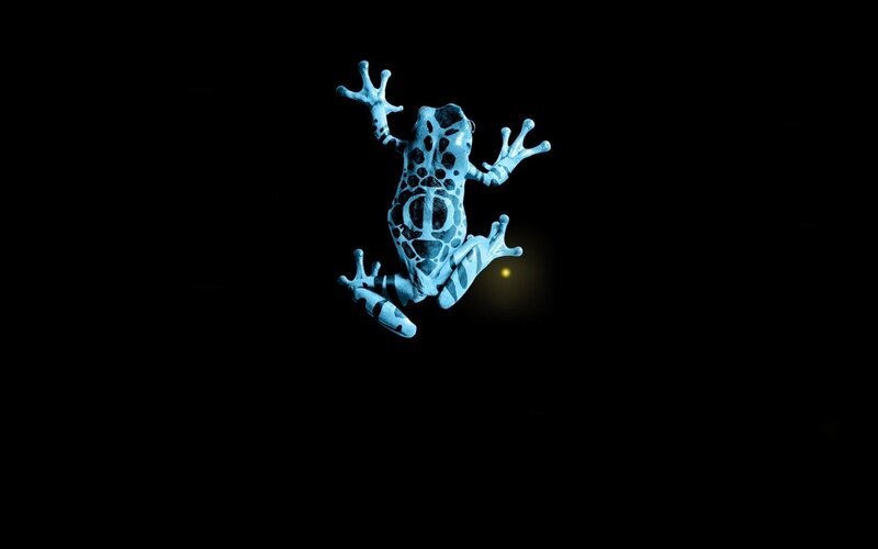blue frog on black background