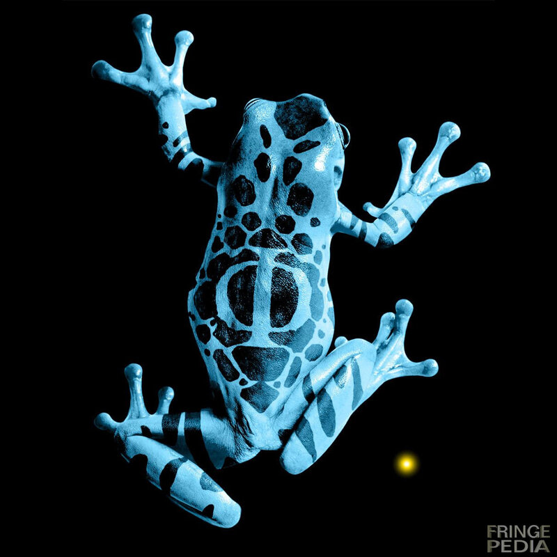 blue frog on black background