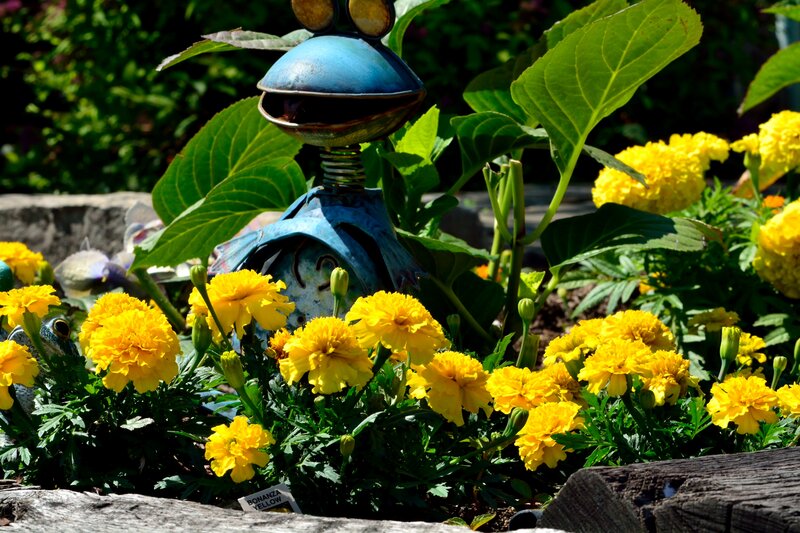 Blue Frog Sculpture
