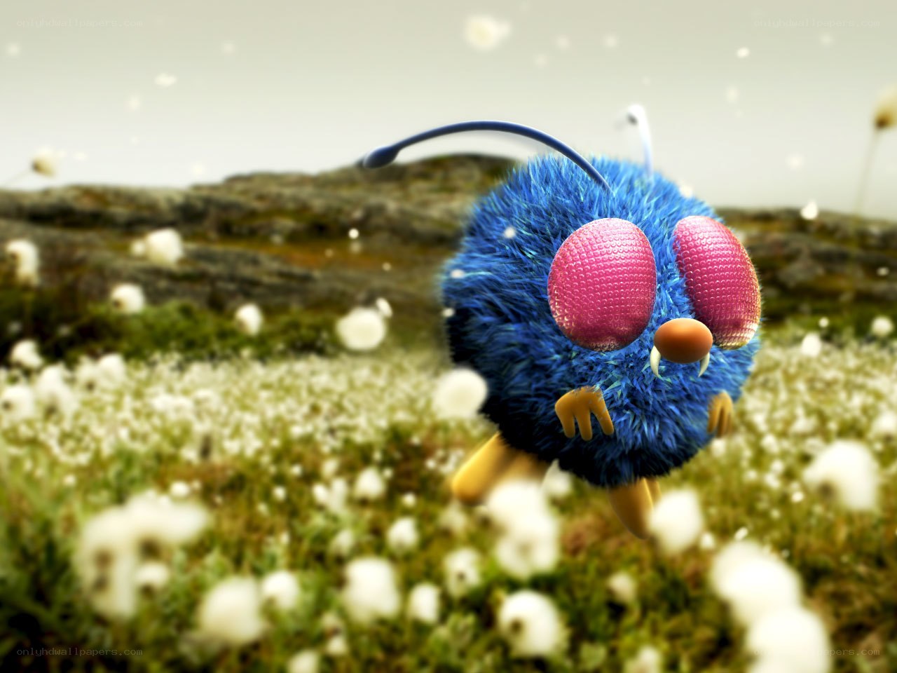 blue furry creature in field