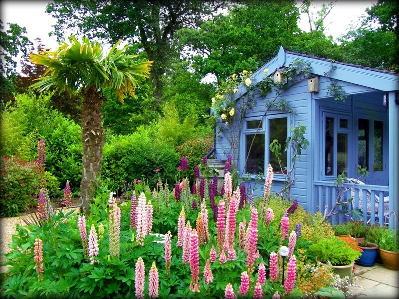 Blue Garden Shed — Serene, Summer