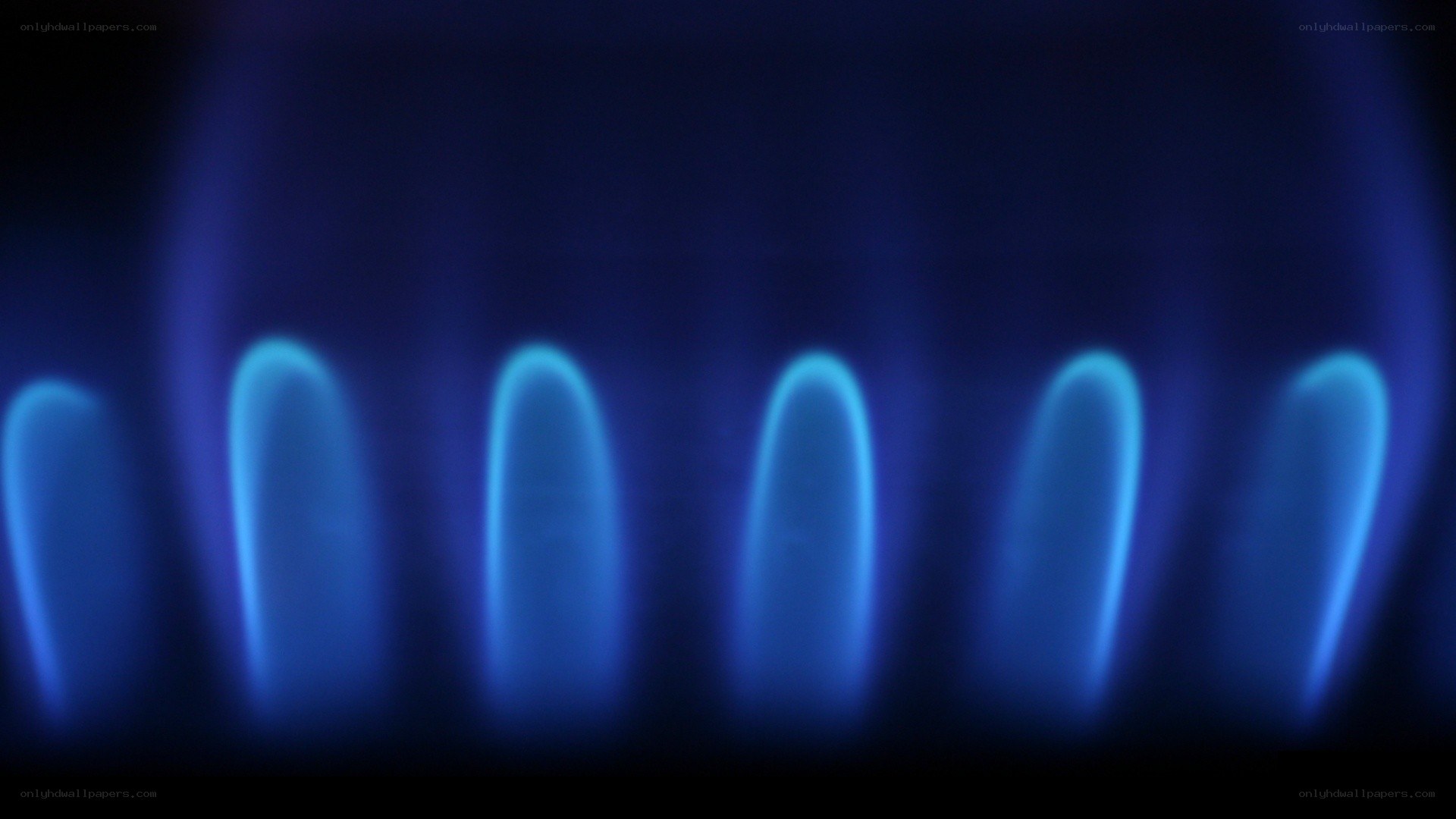 blue gas flames
